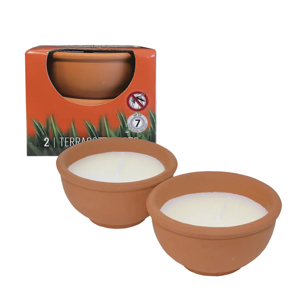 Terracotta Pie Dish 10cm 2 Pack